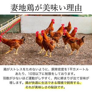 ブランド地鶏「妻地鶏」炭火焼・チキン南蛮セット45　真空パック＜8-14a＞