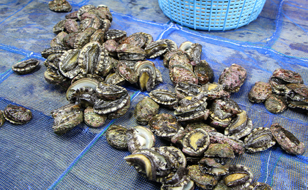 北海道 礼文島産 冷凍生うに(キタムラサキウニ) 40g×2個 ＆ 天然 冷凍蝦夷あわび 500g［野崎水産］【 うに ウニ 雲丹 生うに あわび 鮑 蝦夷あわび 冷凍あわび 刺身 バター焼き 海鮮 