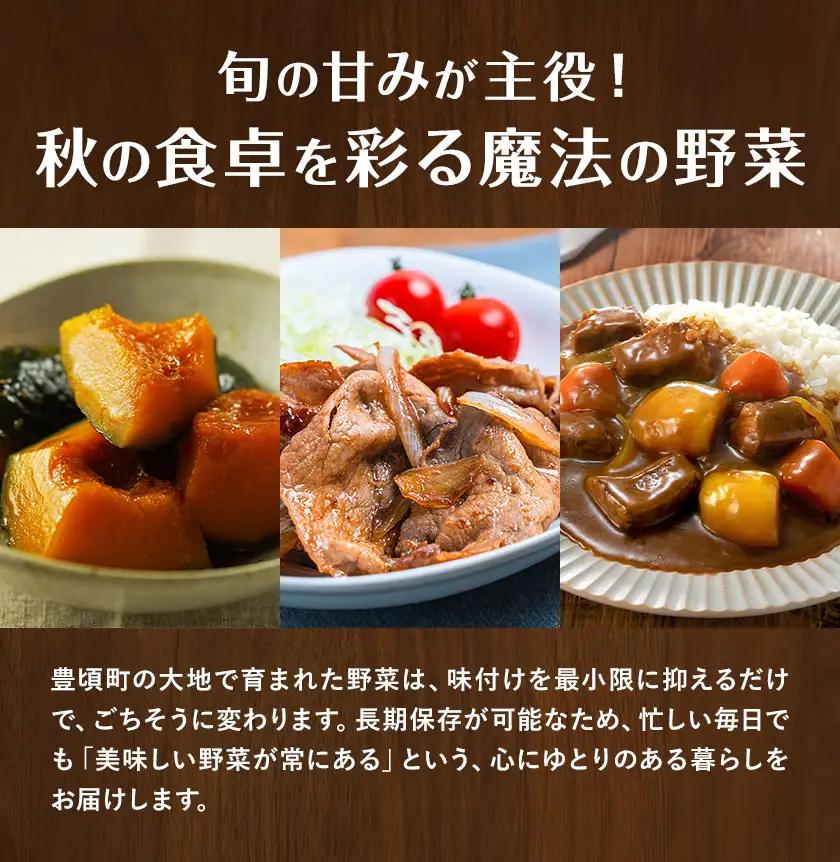 十勝産 秋の味覚 野菜 詰め合わせ 南瓜 玉ねぎ じゃがいも セット 計8kg 工房みみずく 北海道 豊頃町