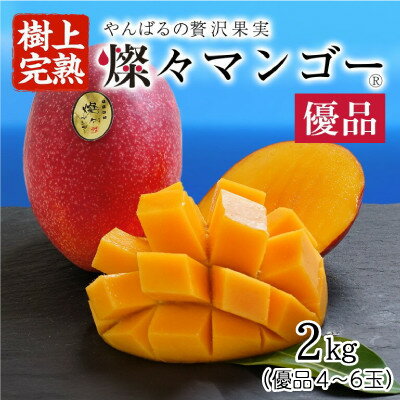 【ふるさと納税】【2025年発送・優品】燦々マンゴー2.0kg(4～6玉)【配送不可地域：離島】【1619777】