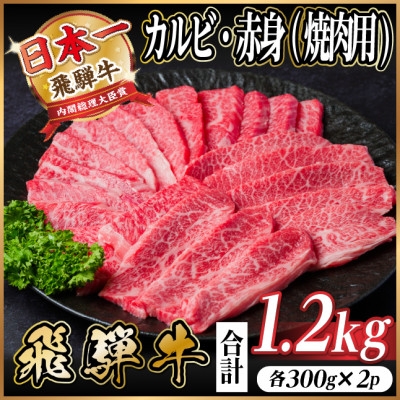 
                  飛騨牛　厳選カルビ・赤身(焼肉・BBQ用)　計1.2kg(各600g)　黒毛和牛　小分け【1667421】
                