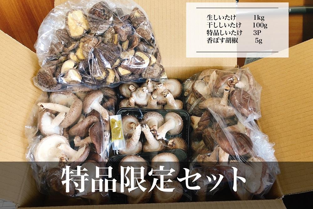 【特別限定セット】湯布院産 生しいたけ1kg+特品しいたけ3P+乾ししいたけ100g+香ぼす胡椒｜栽培期間農薬不使用