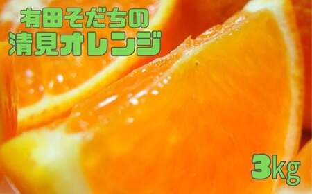 みかん 蜜柑 柑橘 オレンジ 清見 有田 フルーツ 【2025年3月上旬～発送】有田育ちの完熟清見オレンジ(ご家庭用)　約3kg※北海道・沖縄・離島配送不可【ard016A】