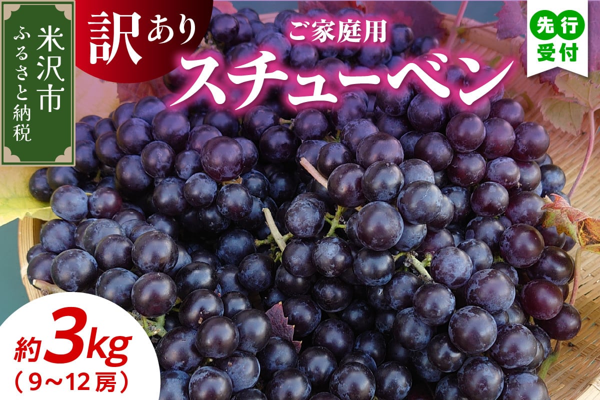 
            《 先行予約 》 【 令和7年産 】 家庭用 訳あり スチューベン 3kg 9 ～ 12房 ぶどう〔 9月下旬 ～ 10月下旬頃お届け 〕 2025年産 農家直送 産地直送
          