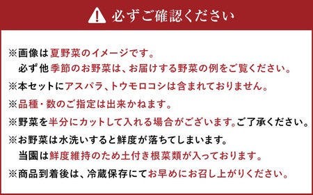 【6ヶ月定期便】有機JAS認定 季節の野菜詰め合わせ ～有機野菜セットC～ 