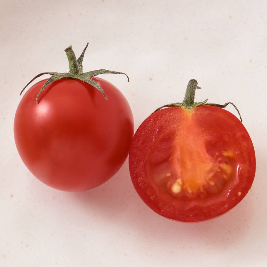エンリッチミニトマトセット