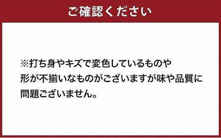 【訳あり】 もったいな果シリーズ びわ 缶詰 M2号缶×12缶 セット 国産　007-023