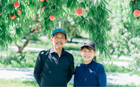 No.3305 種まきうさぎ 福島市産 黄桃 (品種おまかせ)　約1kg