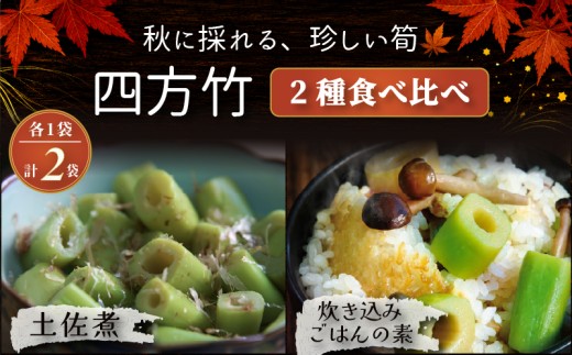 【期間限定】 国産 四方竹 2種食べ比べ 土佐煮 炊き込みごはんの素 計2袋 (2026年11月～発送)  | 筍 たけのこ 竹の子 タケノコ 先行予約 珍味 希少 煮物 炊き込みご飯 鰹だし 醤油 簡単調理 常温 高知 南国市