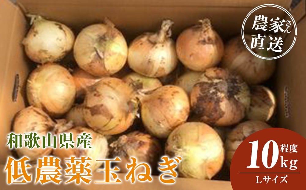 
            ［2026年発送分・先行予約］農家さん直送 低農薬玉ねぎ Lサイズ 10kg程度［4月中旬～7月中旬頃発送予定］［KF16］
          