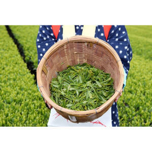 香りと旨みを贅沢に　静岡産 茎茶（棒茶）たっぷり1kgセット（500g×2袋）
