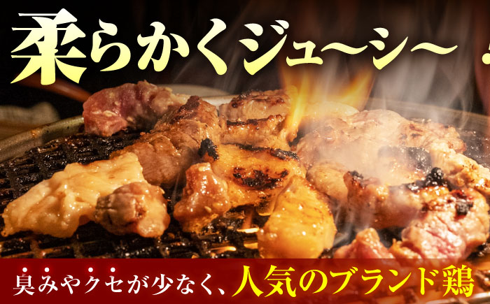 【全6回定期便】佐賀のお肉 焼肉 セット（牛肉・豚肉・鶏肉）　【吉祥】 [HCW019]