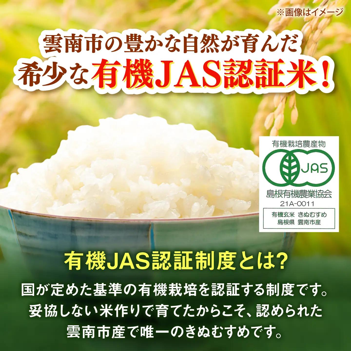 【有機JAS認定】令和7年産 白米 雲南市産きぬむすめ 10kg 島根県雲南市/佐藤ファーム ｜精米 コメ 有機栽培 完全無農薬 美味しまね認証[AIEO003]