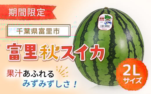 
            【期間限定】富里秋スイカ ２L １玉  / すいか スイカ 西瓜 千葉県 富里市 果物 フルーツ 採れたて とれたて 産地直送 農家直送 千葉県産 ちば 千葉すいか 千葉スイカ 富里 富里すいか 富里スイカ 甘い あまい 美味しい おいしい 大玉 大玉すいか 大玉スイカ TMF012 
          