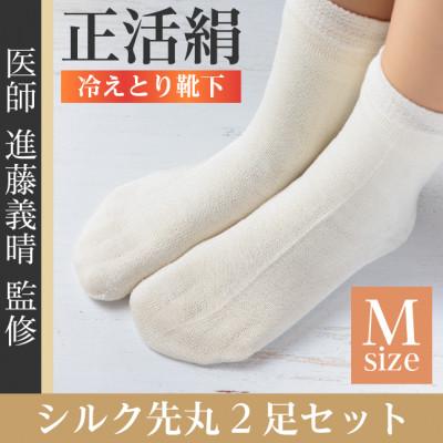 ふるさと納税 羽島市 正活絹 冷えとり靴下 シルク先丸 2足セット(Mサイズ)
