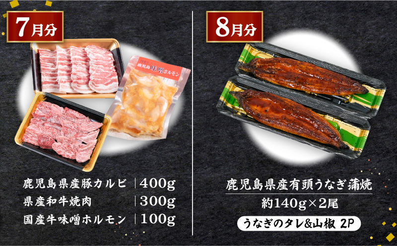 【全10回定期便】鹿児島自慢の豚・牛・うなぎ「満足定期便」　K086-T11