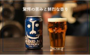 【定期便9ヶ月】インドの青鬼（24缶）クラフトビール