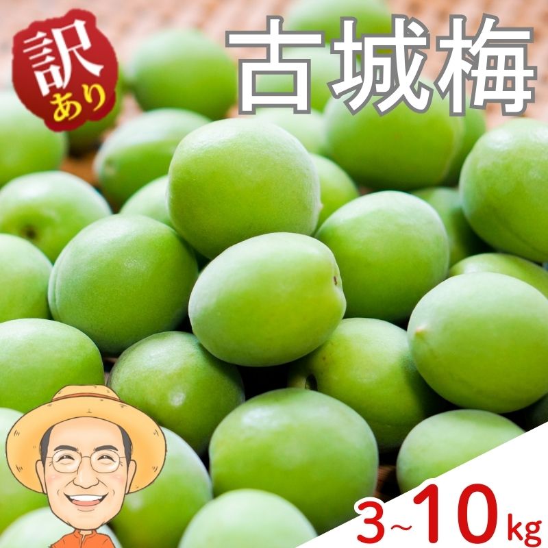【ふるさと納税】【訳あり】古城梅 約3kg 約5kg 約10kg (＋補償100g) サイズ不揃い カキエモン農園 【2026年5月下旬～6月中旬頃順次発送】 和歌山産 梅干し 梅酒 梅シロップ 果実 うめ 梅 ウメ カキエモン 農園 送料無料 なんこううめ なんこうばい なんこう梅 加工用