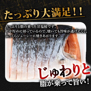 銀鮭 切身 1.2kg 片身 鮭 BP