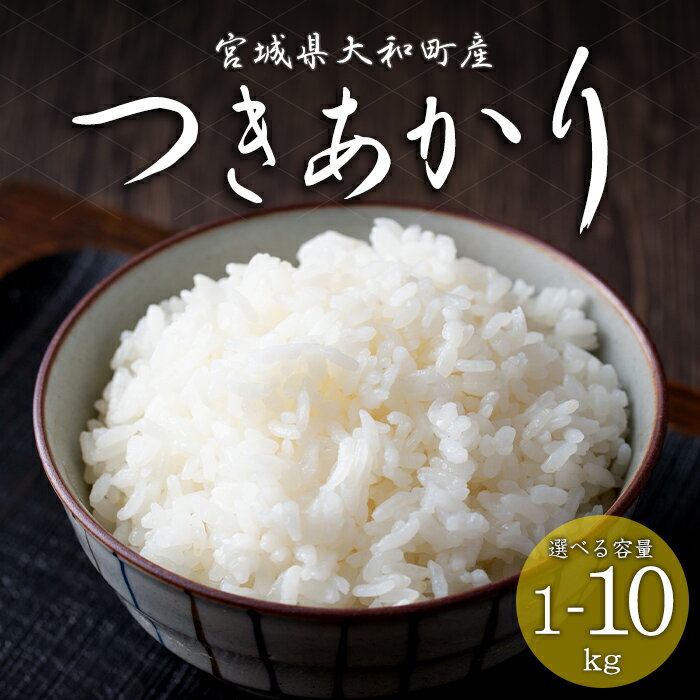 【ふるさと納税】【令和8年産 新米】＜先行予約受付中！R8年9月下旬から順次発送予定＞ つきあかり 精米 選べる容量！ 1～10kg お米 おこめ 米 コメ 白米 ご飯 ごはん おにぎり お弁当 1kg 5kg 10kg【赤間農業開発株式会社】ta460・ta717・ta720