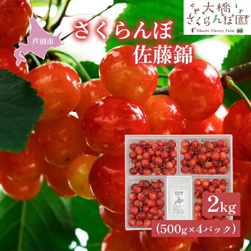 【ふるさと納税】さくらんぼ 先行受付 佐藤錦 2kg 500g×4パック 大橋さくらんぼ園 農林水産大臣賞 受賞 サクランボ チェリー 果物 果物類 フルーツ デザート 有名品種 人気 甘味 上品　お届け：2025年7月上旬頃～
