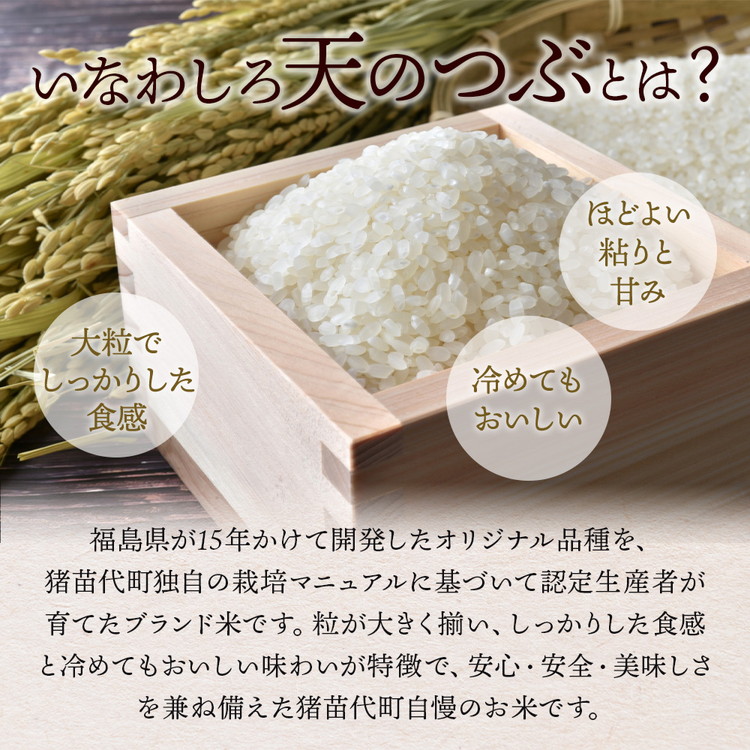 定期便 【10ヵ月連続】令和7年産 猪苗代町ブランド米 いなわしろ天のつぶ 10kg 新米 ｜ 米 お米 精米 白米 福島 大粒 寿司 和食_イメージ2