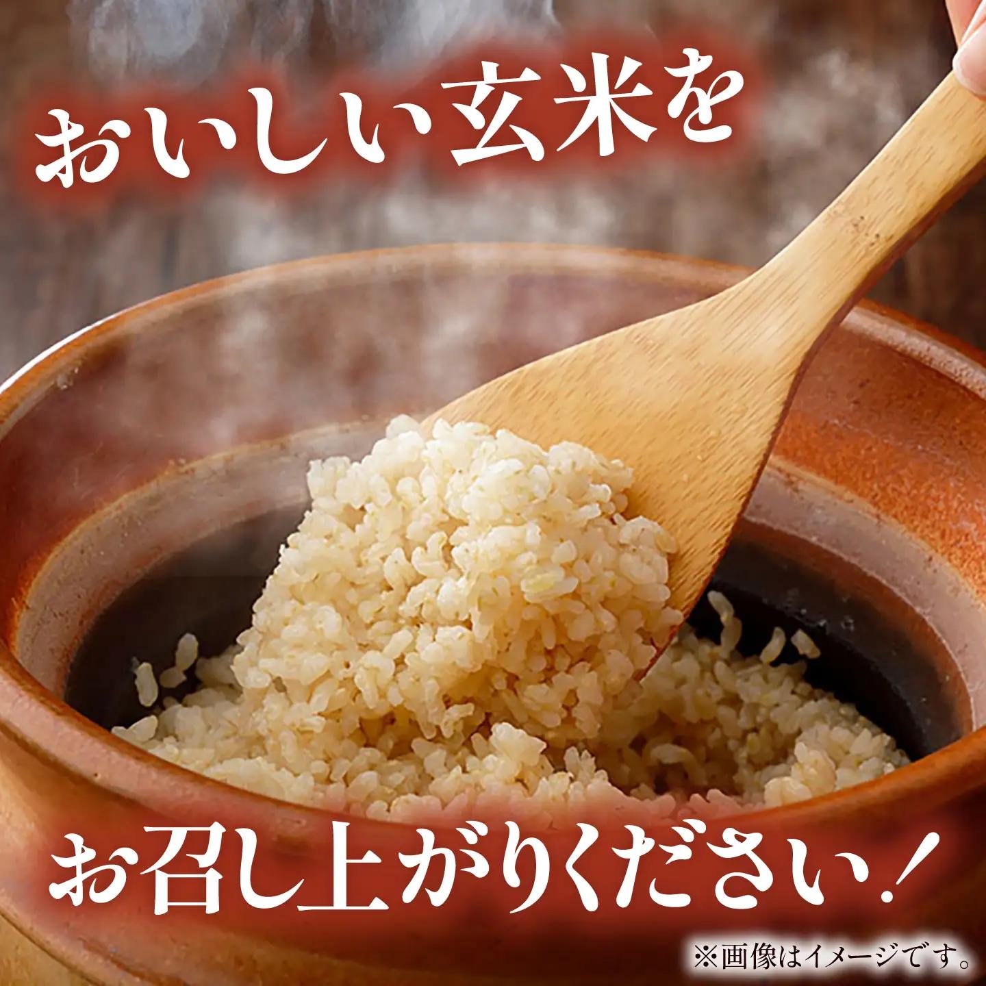 新米 コシヒカリ 玄米 10kg 新米 【令和8年産 先行予約】  [AIAN003]