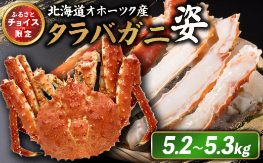
            《チョイス限定》北海道オホーツク産 冷タラバガニ姿　5.2～5.3kg | オンライン申請 ふるさと納税 北海道 雄武 北海道産タラバガニ タラバ カニ かに 蟹 冷凍 海産 海産物 ギフト 贈り物 お取り寄せ ワンストップ マイページ 雄武町【12410】
          