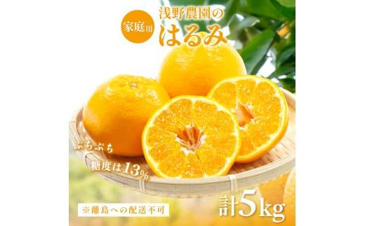【先行予約】【家庭用】はるみ計5kg※離島への配送不可（2026年2月上旬頃より順次発送予定） 【 ふるさと納税 人気 おすすめ ランキング 柑橘 みかん ミカン フルーツ 果物 愛媛 有名 代表 高級 愛媛 愛媛県産 愛媛みかん 浅野農園 愛媛県 伊方町 送料無料 】IKTAC031