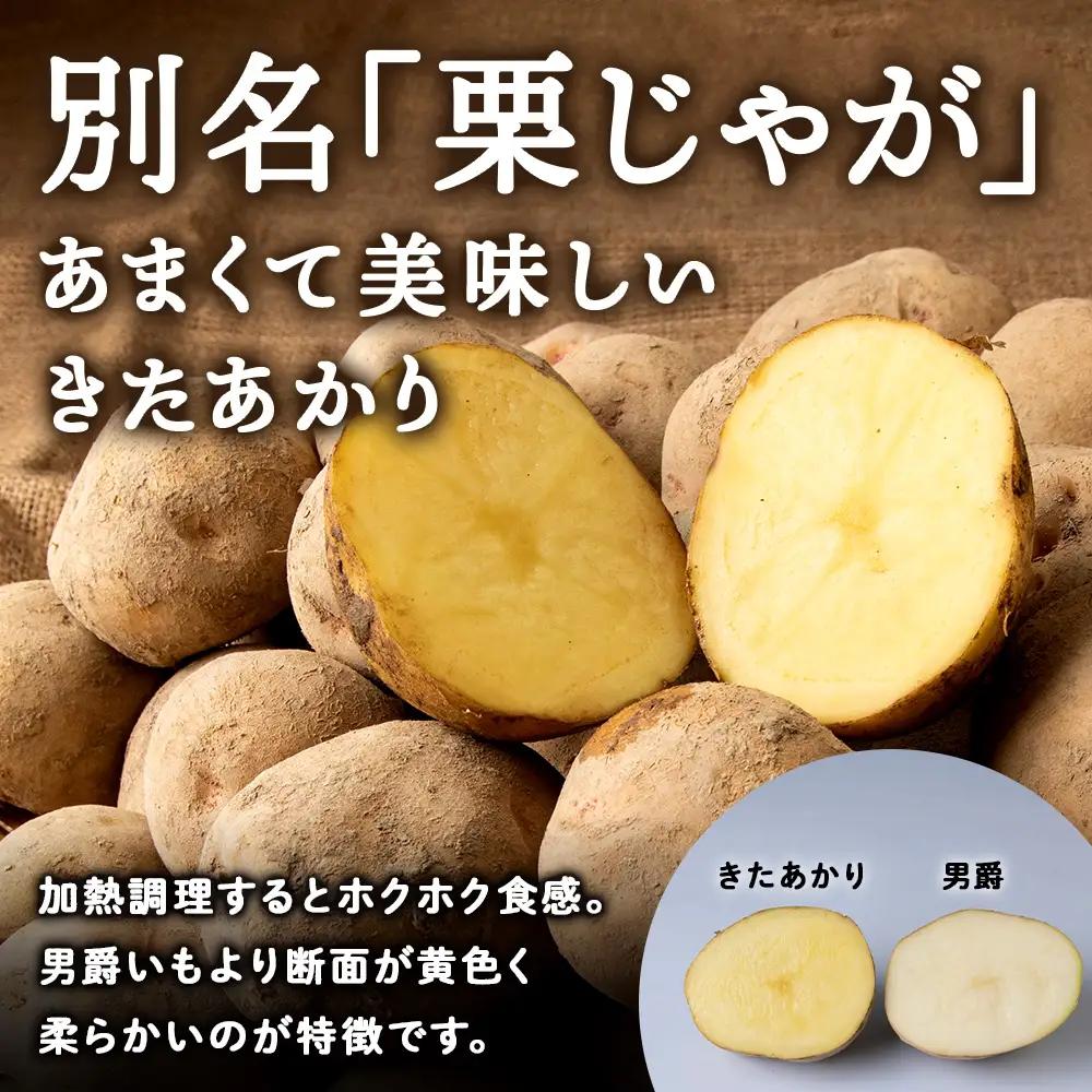 【2026年 秋 発送】積丹町産 きたあかり 5kg 数量限定 期間限定 じゃがいも 北海道 ジャガイモ 芋 いも