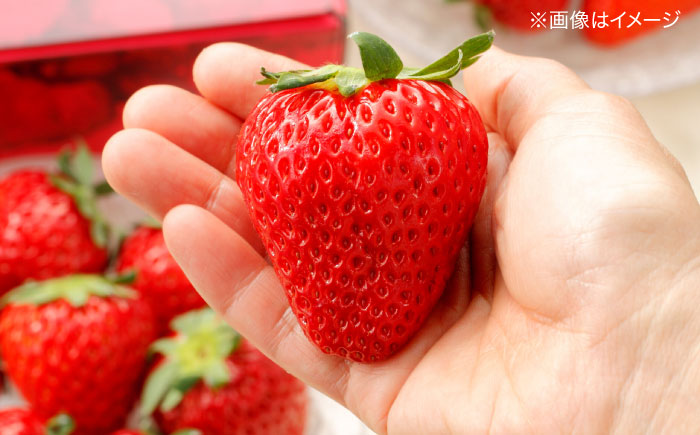 島根県松江市「のつ農園」　完熟いちご「福富アダージョベリー」９個入り 島根県松江市/山陰中央テレビジョン放送株式会社 [ALFI002]