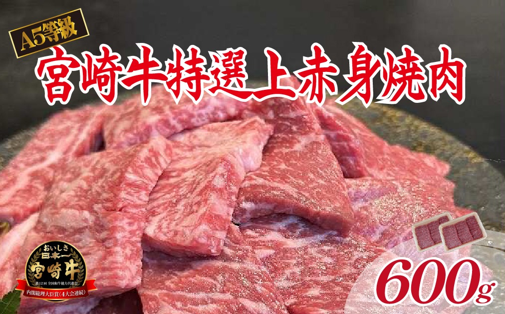 【新鮮チルド発送!!】A5等級宮崎牛特選上赤身焼肉 600g（黒毛和牛 牛肉 宮崎牛 赤身 焼肉用 宮崎県）