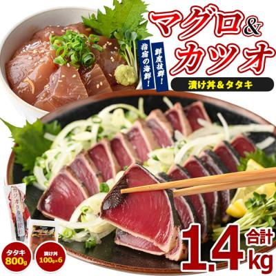 ふるさと納税 指宿市 カツオのたたき(約800g)とマグロの海鮮漬け丼(100g×6袋)セット(IB039-004)