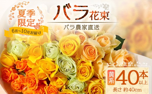 
                  【日付指定必須・ギフト対応可】 夏季限定 ばら農家直送！バラ花束40本以上お届け(黄系) TB-7│ローズ 新鮮 花 フラワー 花束 ばら 薔薇 バラ 誕生日 記念日 結婚祝い ギフト プレゼント お祝い 贈り物 贈答 鹿児島県 南大隅町 富田バラ園
                