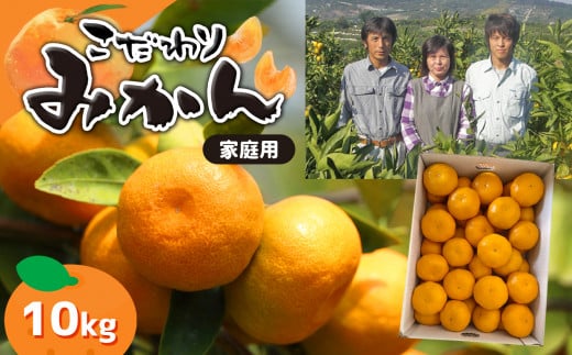 ≪家庭用≫こだわりみかん『豊華の夢ロード』10kg | 果物 くだもの ミカン みかん フルーツ 家庭用 熊本 玉名