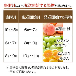 産地厳選三豊のフルーツ3回定期便E