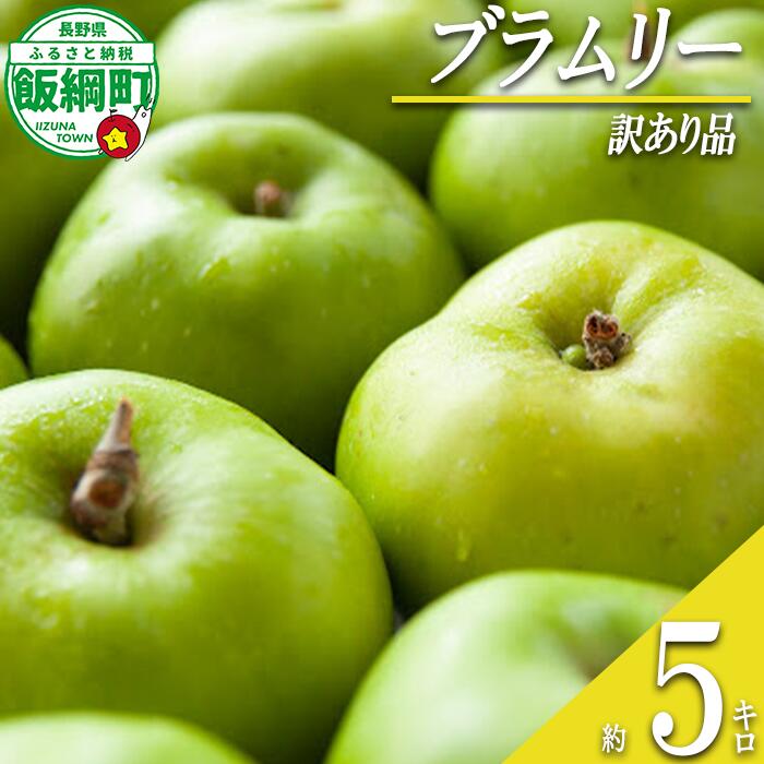 【ふるさと納税】 りんご ブラムリー 訳あり 5kg 沖縄県への配送不可 クッキングアップル ふるさと振興公社 長野県 飯綱町 〔 果物 フルーツリンゴ 林檎 長野 信州 18000円 〕発送期間：2025年8月下旬〜2025年9月下旬 {**}