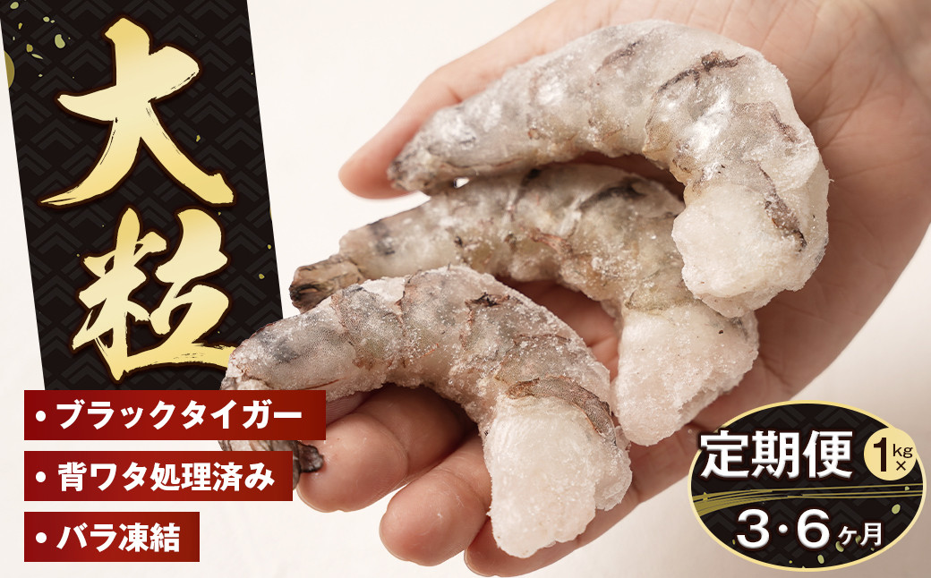 
            【定期便3～6ヶ月】至福の大粒 むきえび　背ワタ処理済 1kg　　[ムキエビ 大型 背わたなし むき海老 ブラックタイガー 下処理済み 冷凍 背ワタなし 高級] 
          