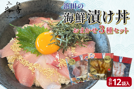浜田の海鮮漬け丼おまかせ3種セット 12パック 【195_2021】