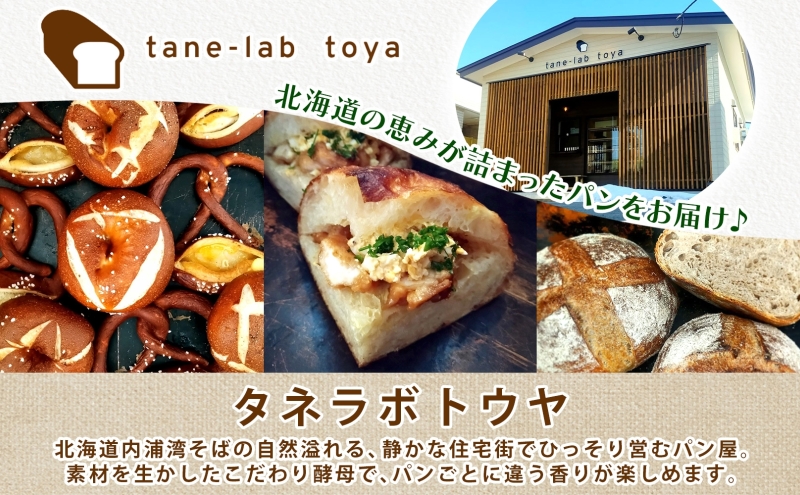 厚焼き フォカッチャ オリーブ×チーズ×ペッパー 1ホール パン 北海道産 小麦 自家製酵母 惣菜パン 菓子パン 朝食 軽食 手づくり 自家製 酵母 ベーカリー オリーブ チーズ ペッパー 冷凍 北海