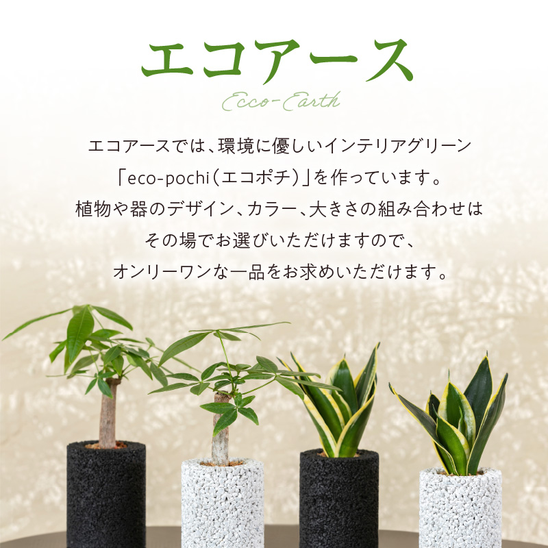 S060-121_エコ・アースでご利用可能なお買い物券　10,000円分