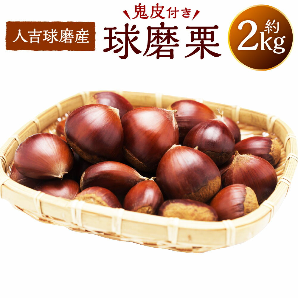 【ふるさと納税】【2025年9月下旬～10月下旬発送予定】球磨栗（鬼皮付き） 2kg 栗 人吉球磨産 筑波 美玖里 熊本 九州 国産 冷蔵 熊本県 湯前町 送料無料