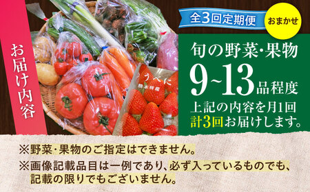 【全3回定期便】【数量限定】菊陽町特産品 「野菜・果物などの詰め合わせ」　 / 新鮮 詰合せ フルーツ セット 旬 おまかせ にんじん 直売所 やさい くだもの 熊本県 特産品 菊陽町【有限会社さんふ