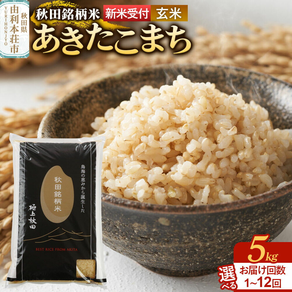 【ふるさと納税】《令和8年産 新米受付》【玄米】極上秋田銘柄米 あきたこまち 5kg【選べるお届け回数：1回〜】 [米 お米 こめ 玄米 あきたこまち ブランド米 銘柄米 食卓 おにぎり 秋田県産 秋田県 由利本荘市]