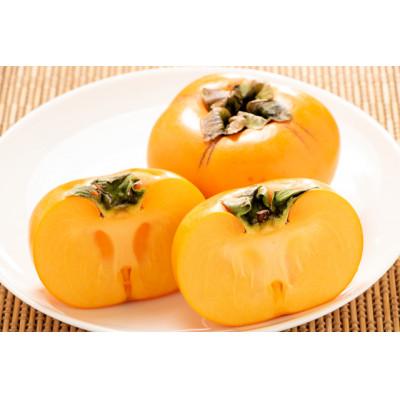 ふるさと納税 八幡浜市 【2026年発送】プロの目利きで選ぶ　家庭用　ひらたねなし柿　7.5kg【D56-37】