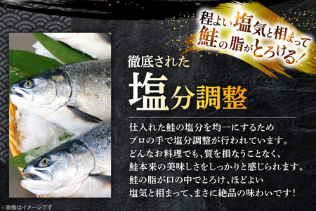 鮭 3回 定期便 厚切り 塩銀鮭 A品 切り身 約1kg 総計3kg [安田 宮崎県 日向市 452061476]