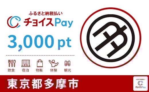 
                  多摩市チョイスPay 3,000pt【会員限定のお礼の品】
                