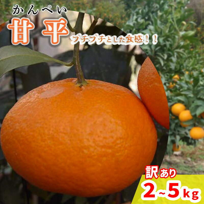 【ふるさと納税】【2026年2月から発送予定】甘平 訳あり 2kg / 5kg 愛媛県 中島産 | カンペイ 家庭用 先行予約 高級 蜜柑 ミカン みかん 甘い 皮 むきやすい 柑橘 糖度 人気 お取り寄せ 期間 数量 限定 中島みかん農園 愛媛 松山