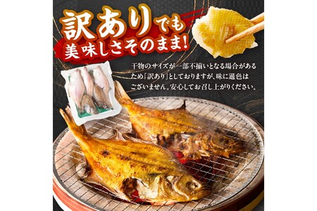 【干物 定期便・3ヶ月】リピーター人気！京丹後の地元魚屋が作ったお任せ干物セット（冷凍）日本海 旬の干物 定期便 3回 ・干物セット定期便・干物詰め合わせ・ひもの