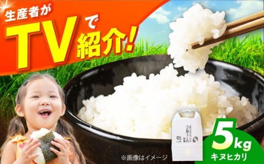 【年内発送】令和7年産 新米 キヌヒカリ 5キロ きぬひかり 米 お米 白米 新米 コメ おこめ 5kg 大阪府高槻市/ベジ彩ファーム [AOEJ009]